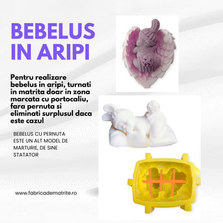 Set matrite bebelus + aripi