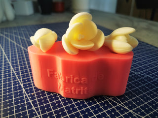 Matriță set 3 Brândușe